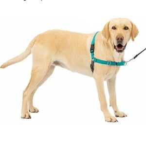 Teal No Pull Dog Harness